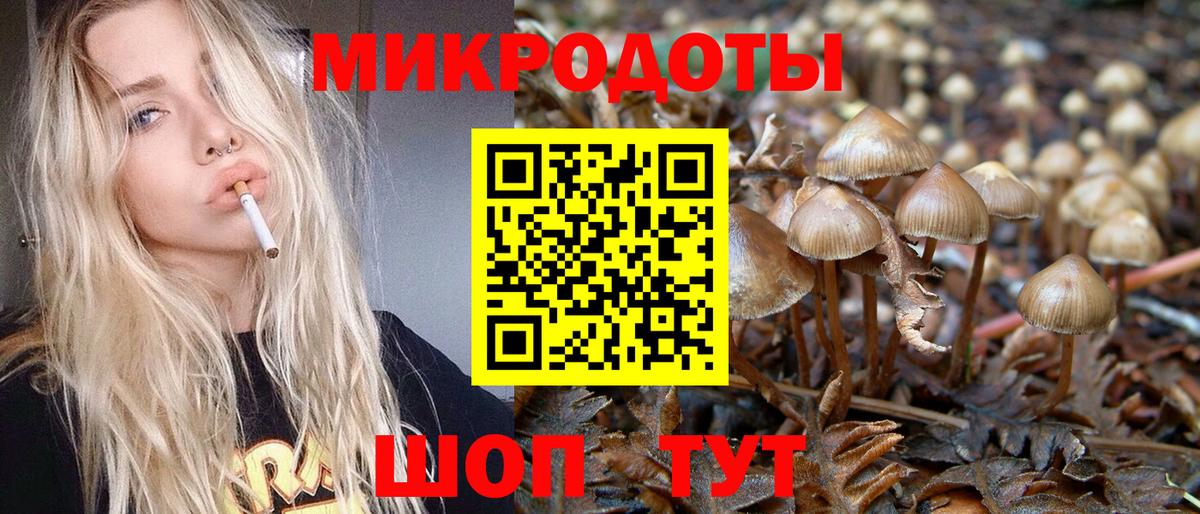 наркота  Псилоцибиновые грибы прущие грибы  Вход с VPN  Галлюциногенные грибы ЛСД  Гусиноозёрск 